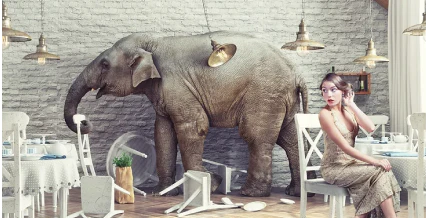 The Elephant in the Room: Slip-and-fall Restaurant Accidents!